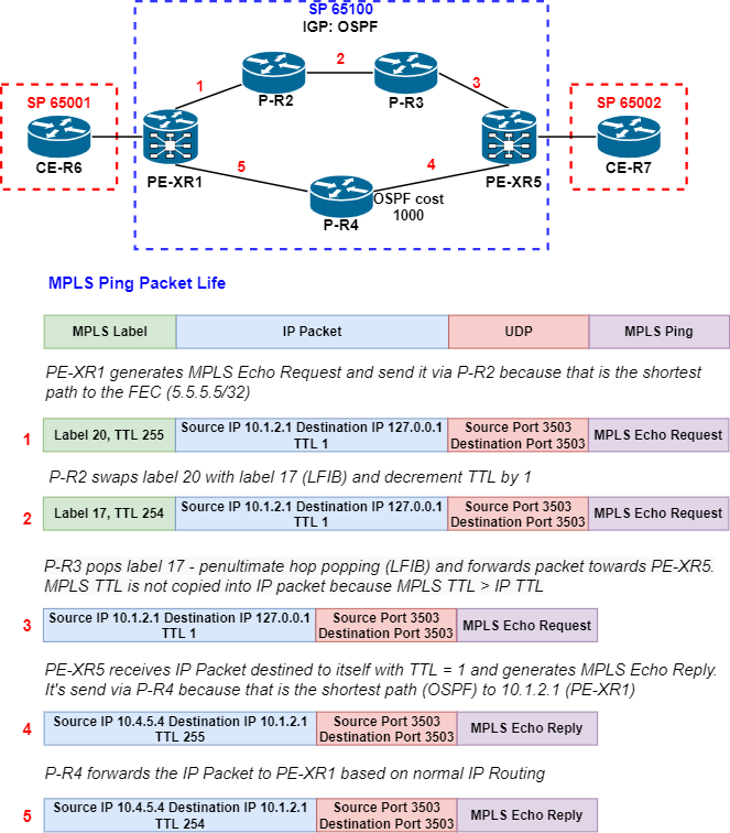 MPLS-Ping-Packet-Life